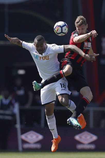 这些热爱者 这些热爱者