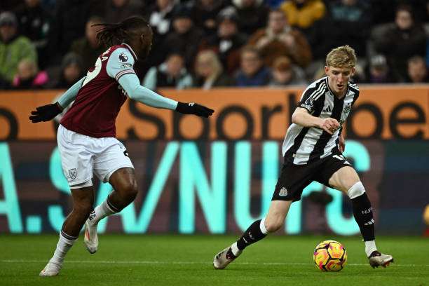 扎形成鲜明 扎形成鲜明